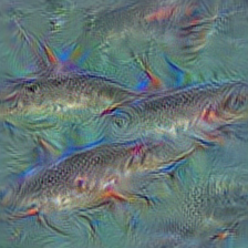 n02536864 coho, cohoe, coho salmon, blue jack, silver salmon, Oncorhynchus kisutch